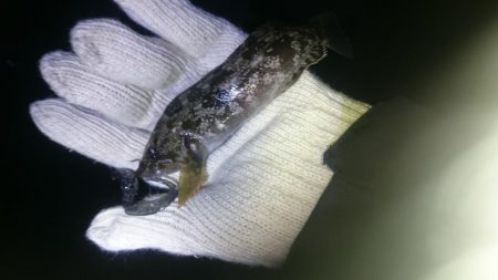 Googleアースにて