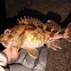 防波堤際での釣り
