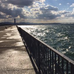 誰もいない・・