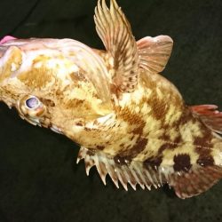 粘った結果……