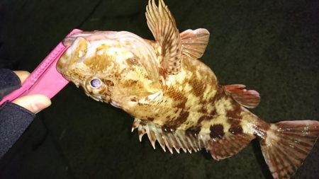 粘った結果……