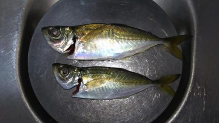 極寒フラフラアジング！