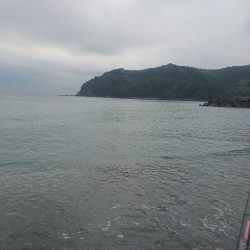 矢井賀サーフ ショアジギング