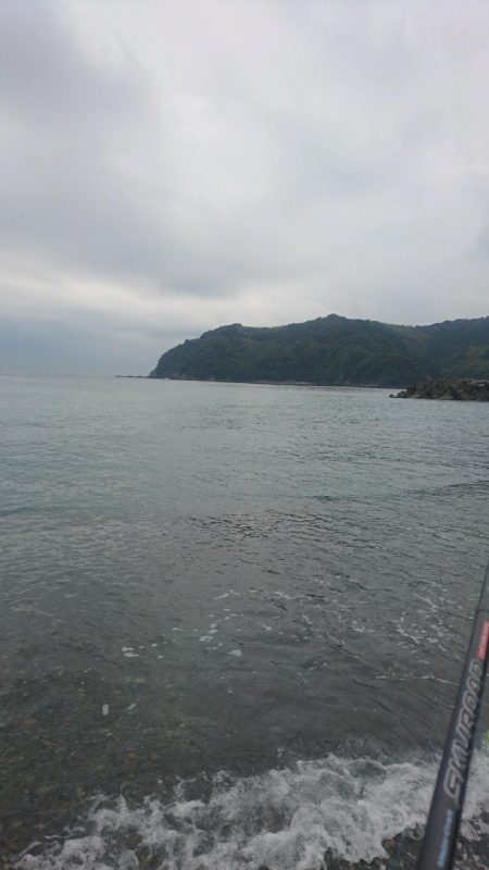 矢井賀サーフ ショアジギング