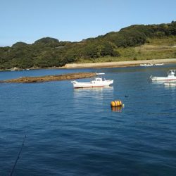 カレイが釣りたい