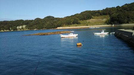 カレイが釣りたい