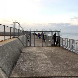 カレイ釣り！！