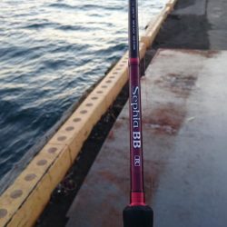 ⚫強風タチウオ渋すぎ