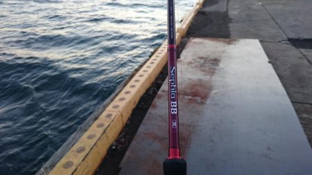 ⚫強風タチウオ渋すぎ