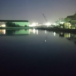 湾奥タチウオ3匹