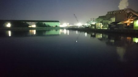 湾奥タチウオ3匹