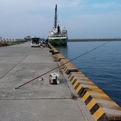 シーズン最終の淡路釣行