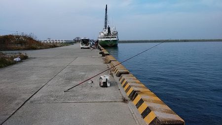 シーズン最終の淡路釣行