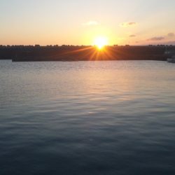 食べて美味しい