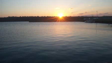 食べて美味しい