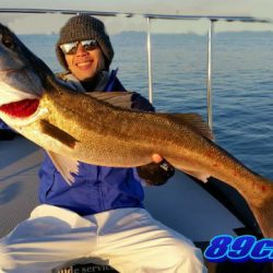 オーシャンマスター 釣果