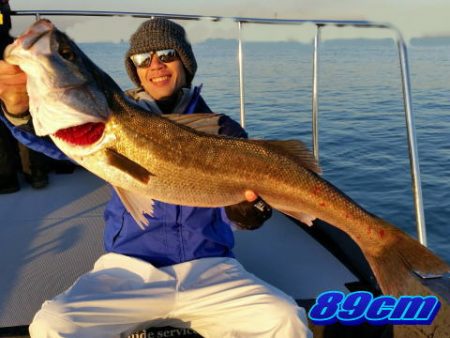 オーシャンマスター 釣果