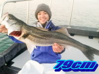 オーシャンマスター 釣果