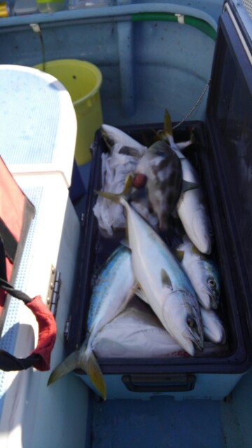 誠いち丸 釣果