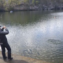 フィッシングレイクたかみや 釣果