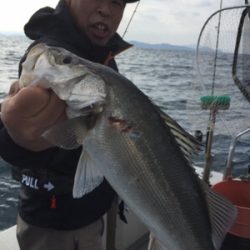 シーモンキー 釣果