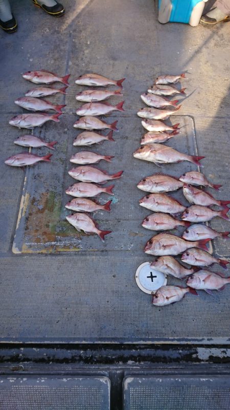 FISHING RISKY 釣果