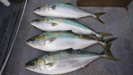 FISHING RISKY 釣果