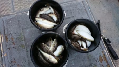 FISHING RISKY 釣果