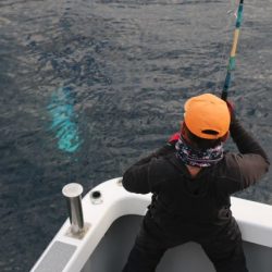 へいみつ丸 釣果