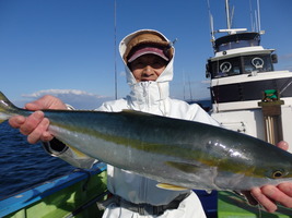 久里浜黒川本家 釣果