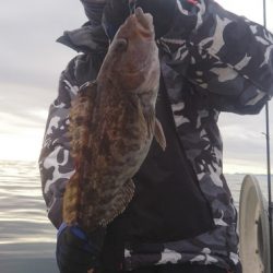 気仙沼 つり丸 釣果