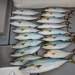 sea boss シーボス 釣果