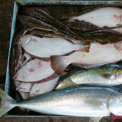 明神釣船 釣果