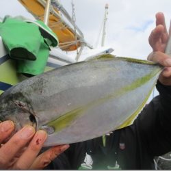 海正丸 釣果