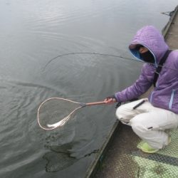 吉羽園 釣果