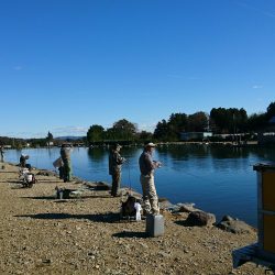 みどりフィッシングエリア 釣果