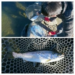 みどりフィッシングエリア 釣果