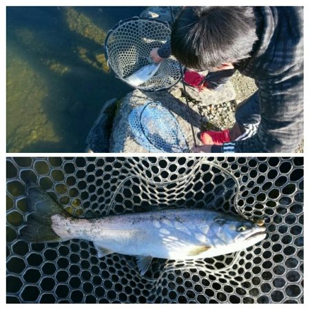 みどりフィッシングエリア 釣果