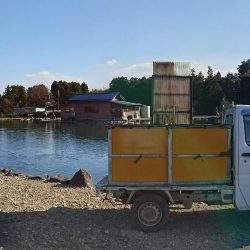 みどりフィッシングエリア 釣果