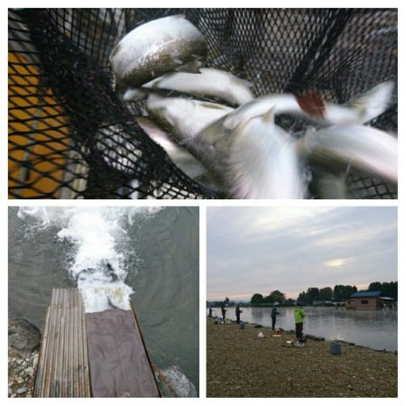 みどりフィッシングエリア 釣果