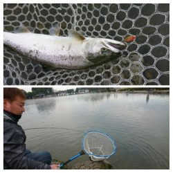 みどりフィッシングエリア 釣果