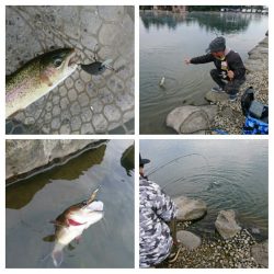 みどりフィッシングエリア 釣果