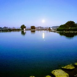 みどりフィッシングエリア 釣果