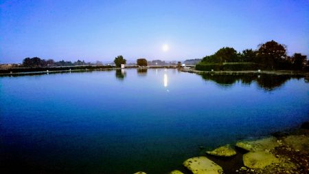 みどりフィッシングエリア 釣果