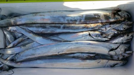 オーフリー 釣果