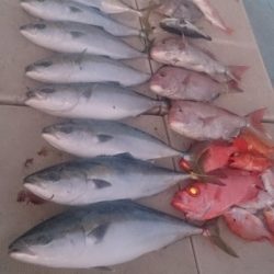 旭星釣りセンター 釣果