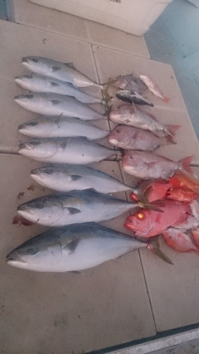 旭星釣りセンター 釣果