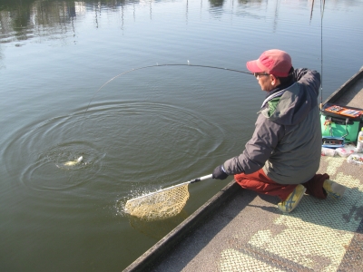 吉羽園 釣果