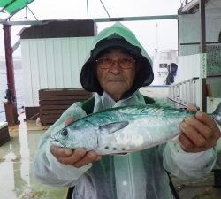 本部釣りイカダ 釣果