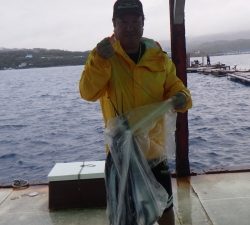本部釣りイカダ 釣果